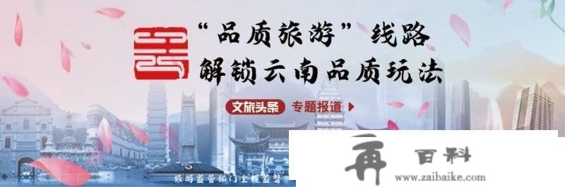 昆明品量游保举丨昆明大理丽江版纳单飞单动纯玩8日游 坐着高铁从雪山游到雨林