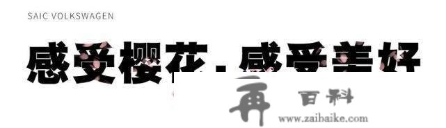 丽江那个处所，最让人怦然心动！出格是“她”来了后……