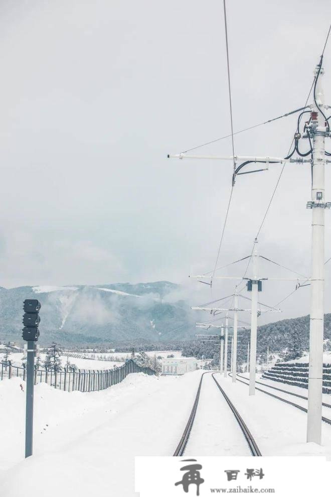 那辈子，必然要坐一次丽江雪山参观火车！