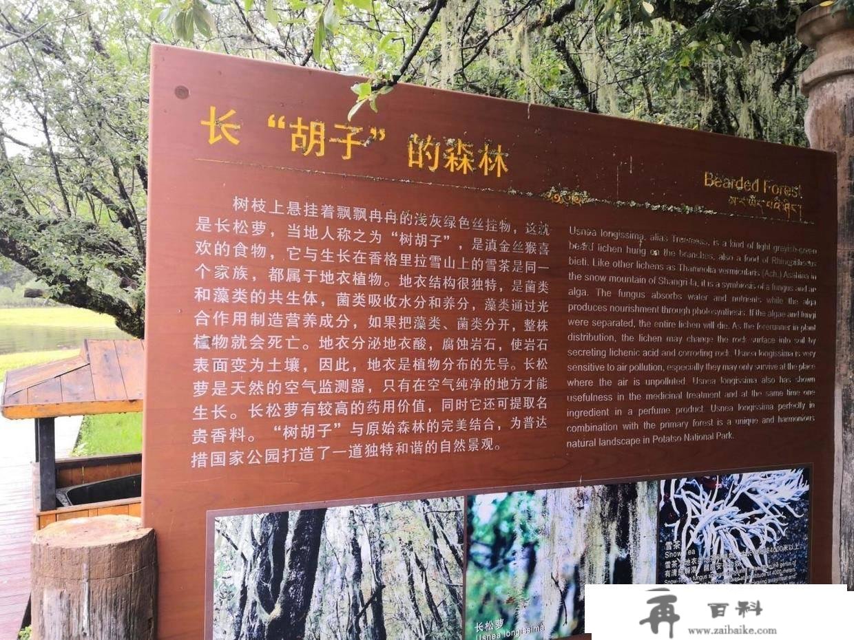 普达措国度公园，属都湖(松萝)