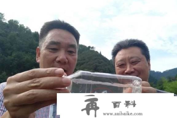 比恐龙还古老！十堰艳湖公园发现极度濒危生物，超美！