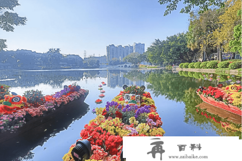 水上花市来了！那个春季来广州荔湾湖公园体味浓浓年味