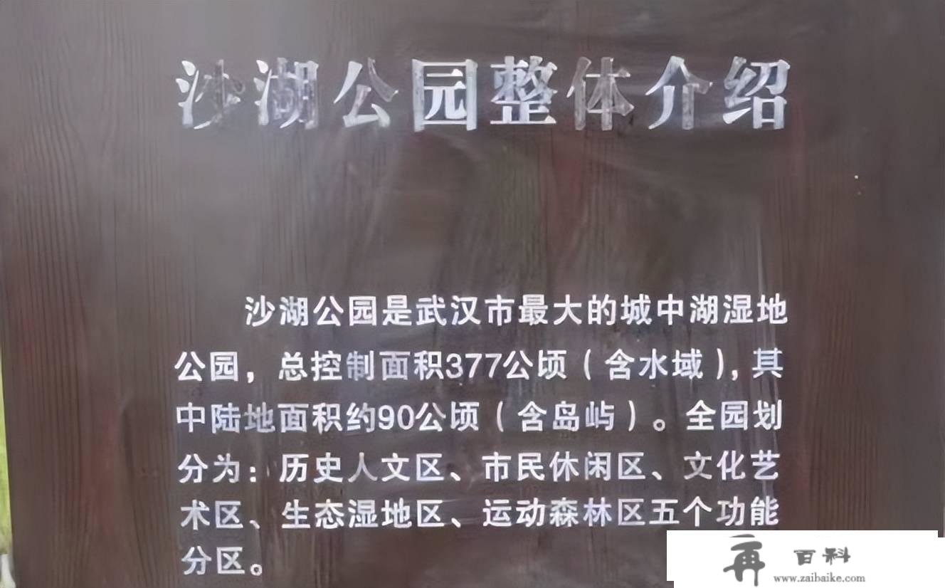 武汉市更大的城中湖湿地公园，竟然不是东湖？曾经的沙湖事实多大