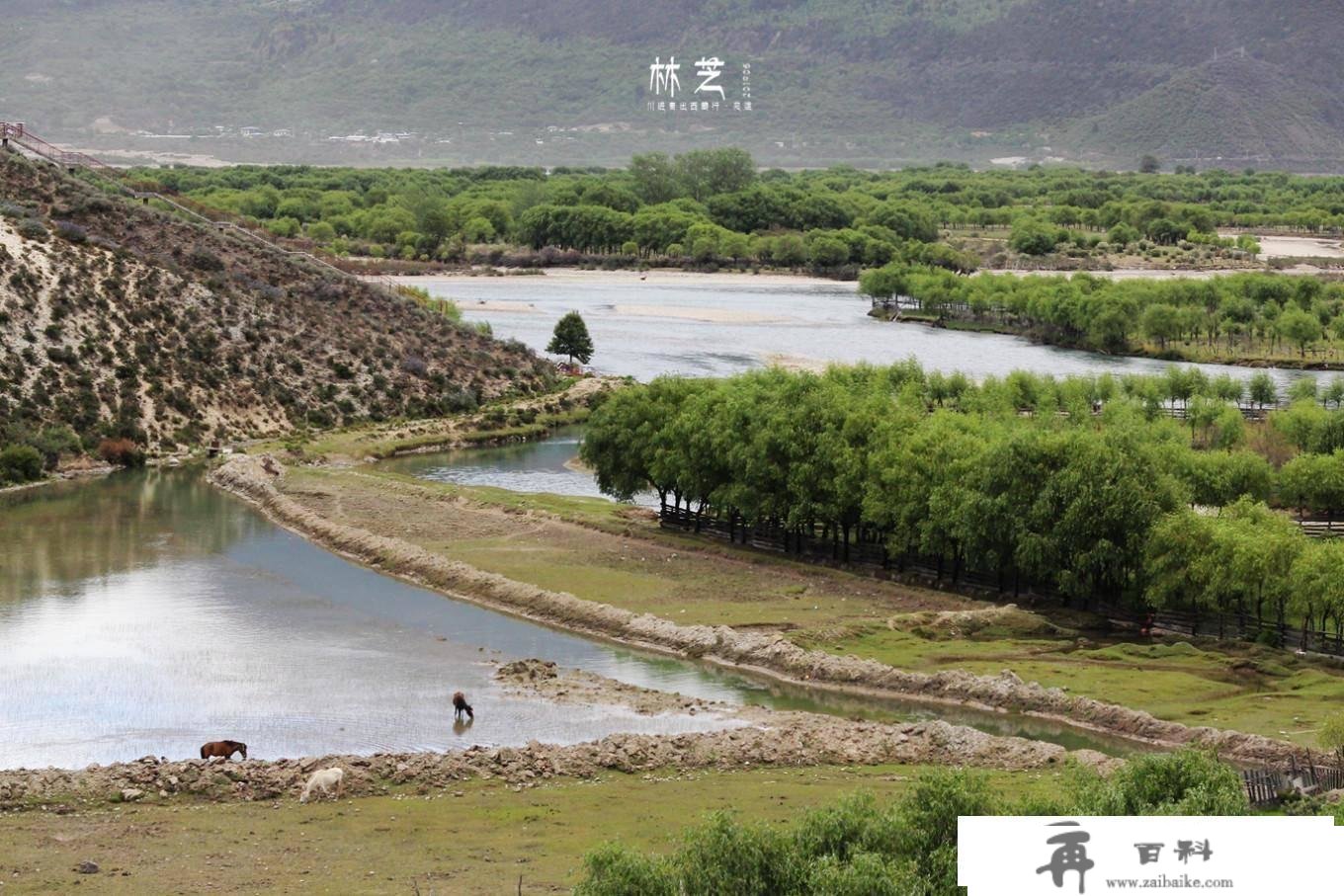 西藏行｜多彩林芝，藏地江南，南迦巴瓦羞露面