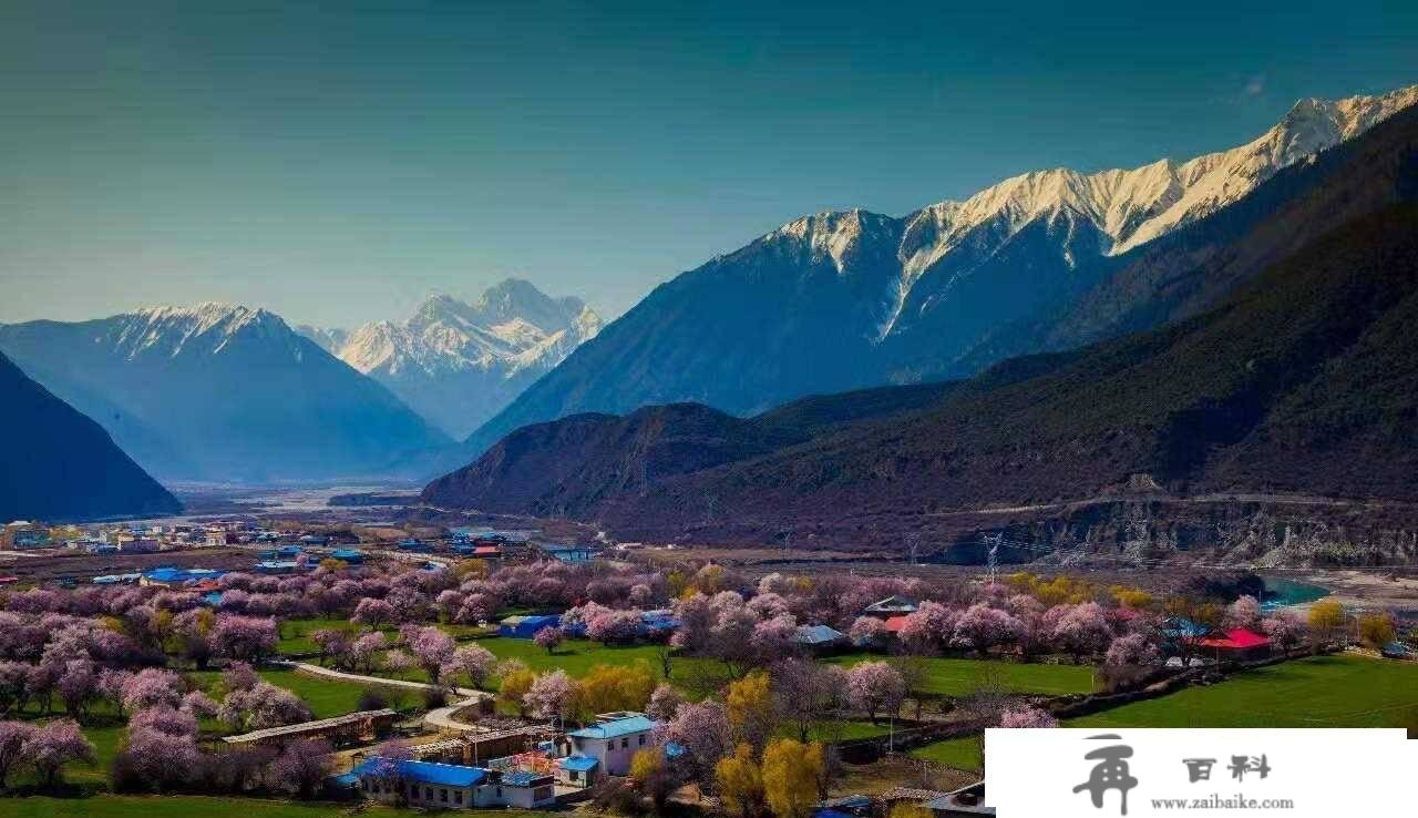 遇间旅游 - 三月必去赏花地「西藏林芝」解锁雪山下的桃花盛景！