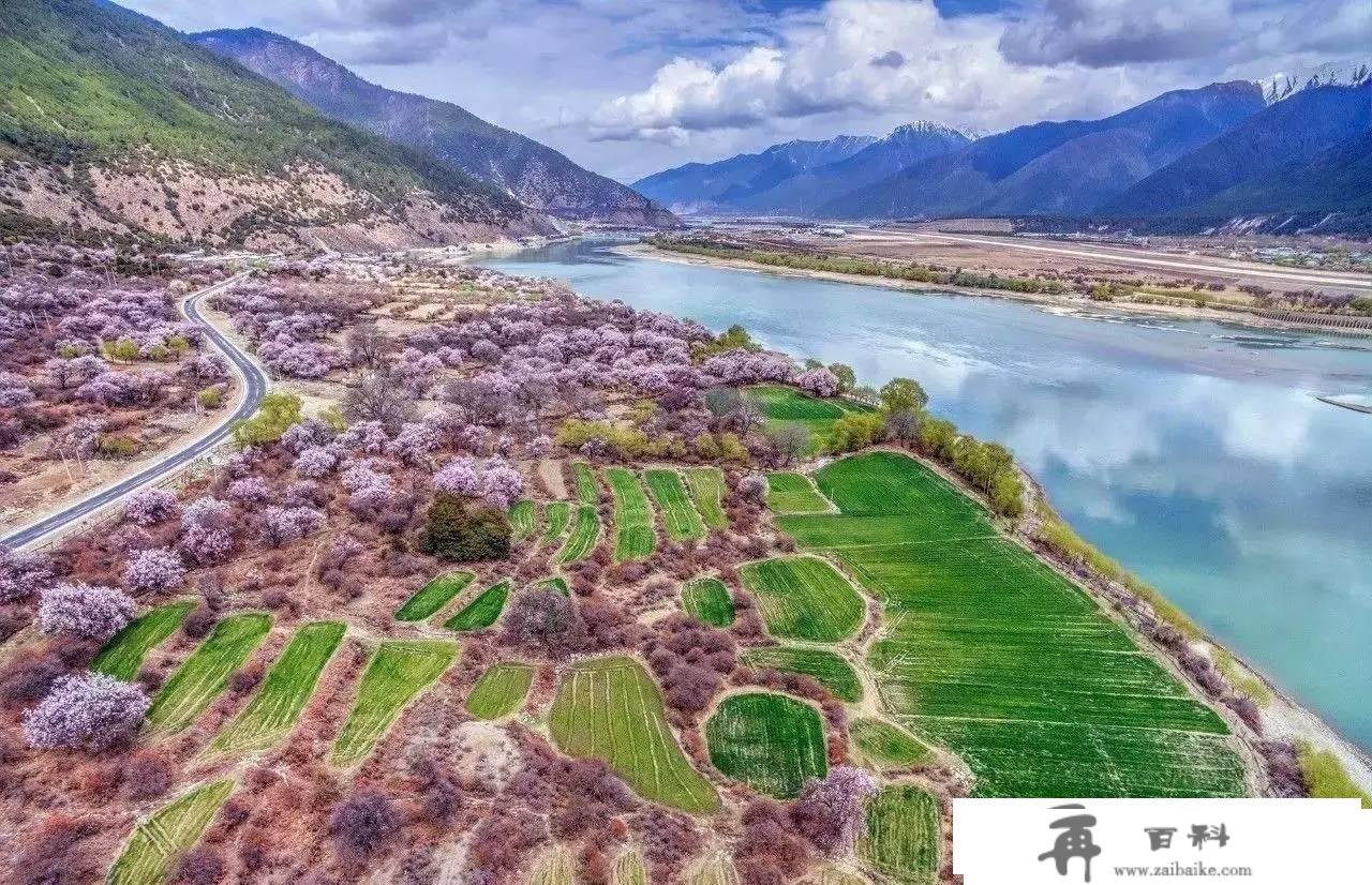 遇间旅游 - 三月必去赏花地「西藏林芝」解锁雪山下的桃花盛景！