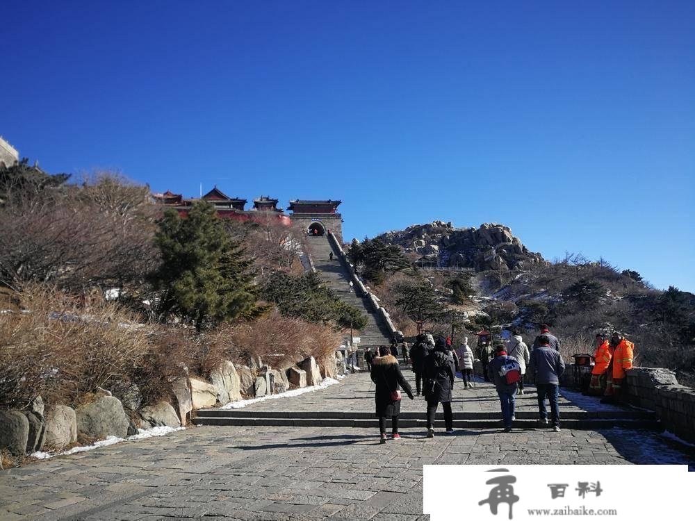 一周旅游 | 出境团队游满月，巴黎圣母院明岁尾重开