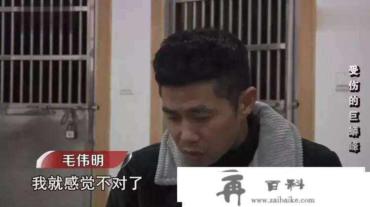 浙江攀岩者：为登顶将26枚钉子打入巨蟒峰，补偿600万还得坐牢