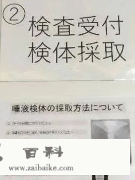 新春日本游的伴侣看过来，通关攻略在那里！