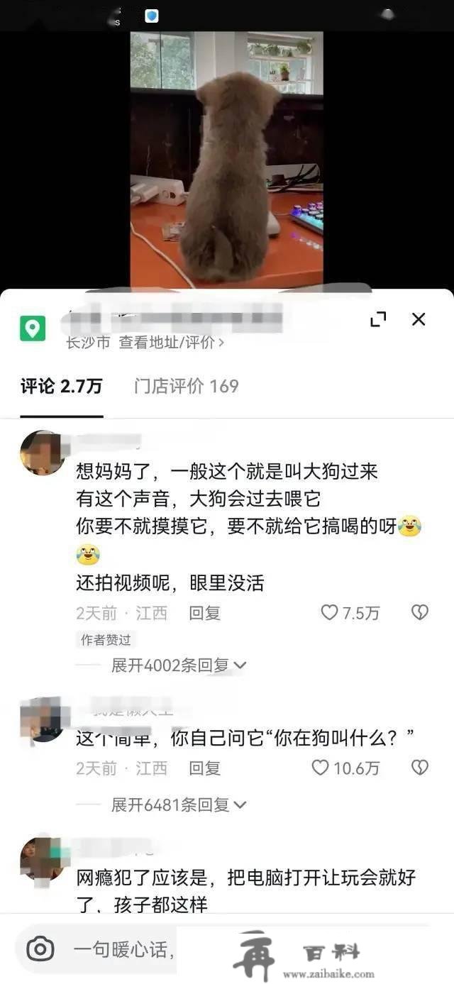 “厦门公交车上放着的那个是啥？卡轮胎的吗？”鱼友：幼儿启蒙用的，一个圆形一个三角形…