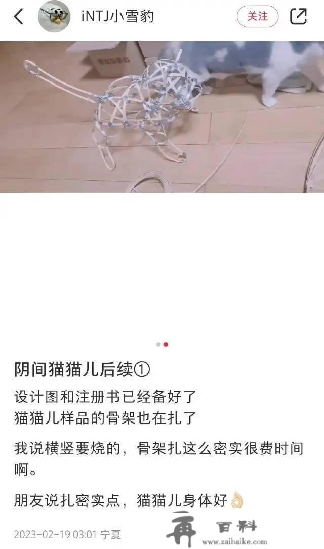 “厦门公交车上放着的那个是啥？卡轮胎的吗？”鱼友：幼儿启蒙用的，一个圆形一个三角形…