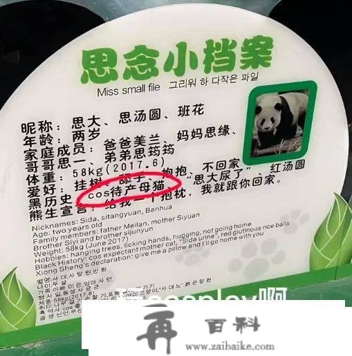 公熊猫“思念”cos待产母熊猫骗吃？园方：写下“黑汗青”是好玩