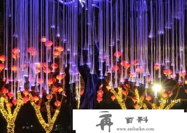 春节在厦门怎么玩？春节期间怎么吃？看那里→