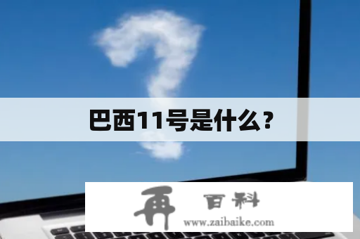 巴西11号是什么？