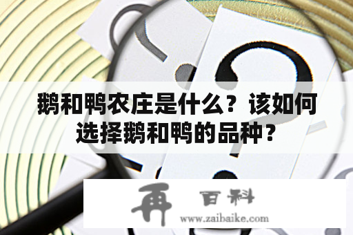 鹅和鸭农庄是什么？该如何选择鹅和鸭的品种？