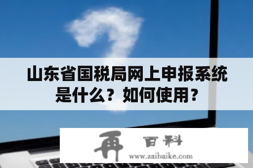 山东省国税局网上申报系统是什么？如何使用？