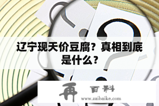 辽宁现天价豆腐？真相到底是什么？