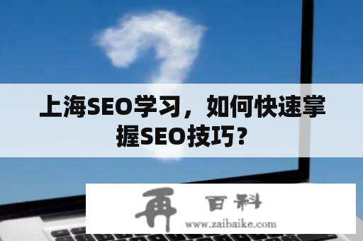 上海SEO学习，如何快速掌握SEO技巧？