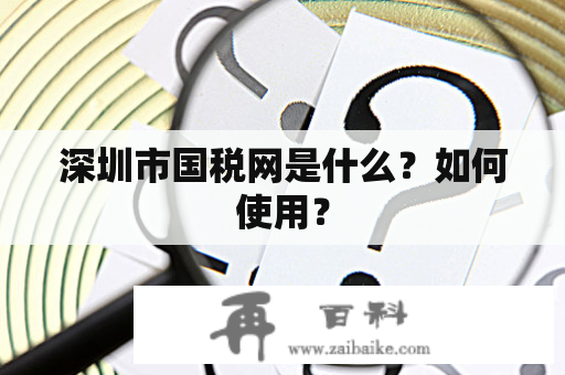 深圳市国税网是什么？如何使用？