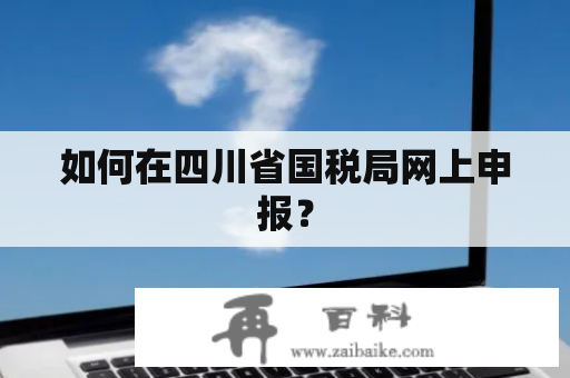 如何在四川省国税局网上申报？