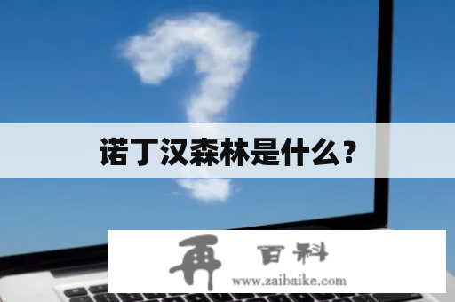 诺丁汉森林是什么？