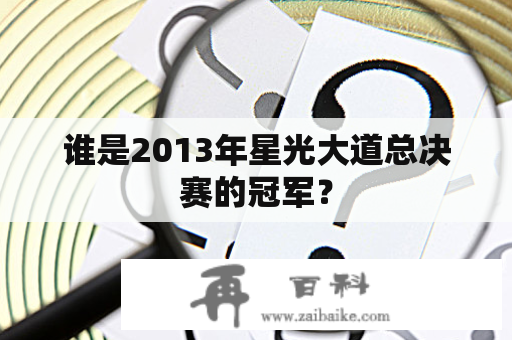 谁是2013年星光大道总决赛的冠军？