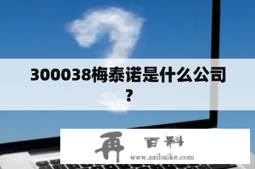 300038梅泰诺是什么公司？