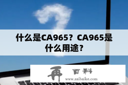 什么是CA965？CA965是什么用途？