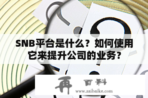 SNB平台是什么？如何使用它来提升公司的业务？