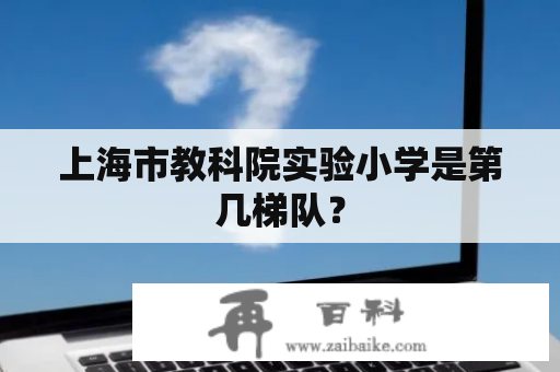 上海市教科院实验小学是第几梯队？