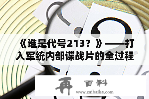 《谁是代号213？》——打入军统内部谍战片的全过程