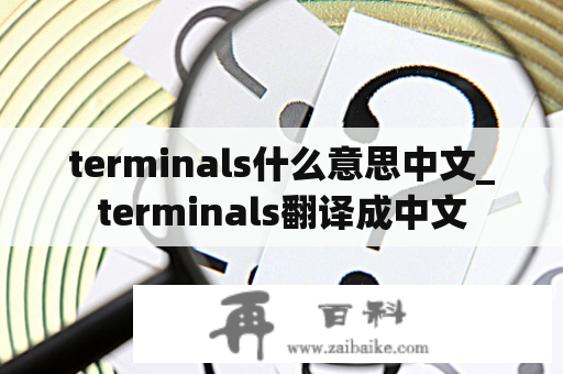 terminals什么意思中文_terminals翻译成中文