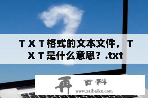 ＴＸＴ格式的文本文件，ＴＸＴ是什么意思？.txt