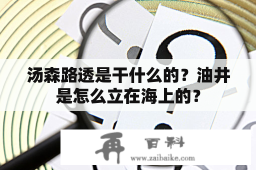 汤森路透是干什么的？油井是怎么立在海上的？