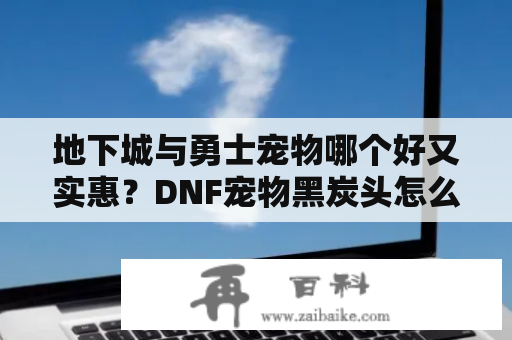 地下城与勇士宠物哪个好又实惠？DNF宠物黑炭头怎么样，这是我人生第二只宠，不知道好不好大家评价下？