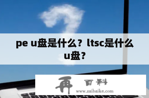 pe u盘是什么？ltsc是什么u盘？