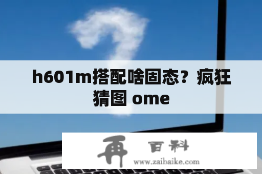 h601m搭配啥固态？疯狂猜图 ome