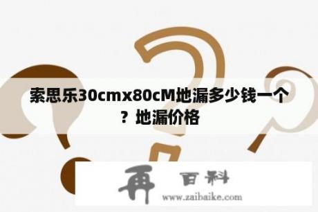 索思乐30cmx80cM地漏多少钱一个？地漏价格