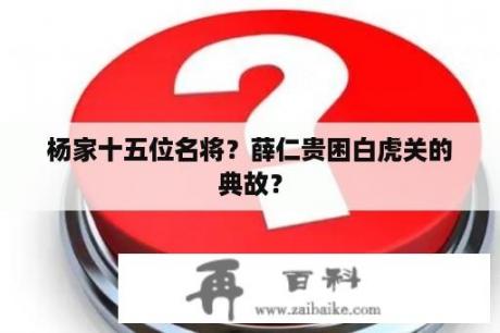 杨家十五位名将？薛仁贵困白虎关的典故？