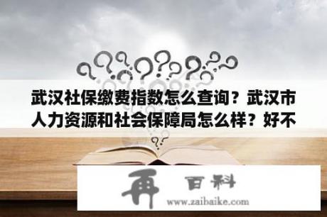 武汉社保缴费指数怎么查询？武汉市人力资源和社会保障局怎么样？好不好？