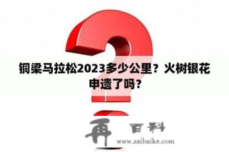 铜梁马拉松2023多少公里？火树银花申遗了吗？