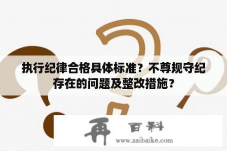 执行纪律合格具体标准？不尊规守纪存在的问题及整改措施？