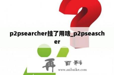 p2psearcher挂了用啥_p2pseascher