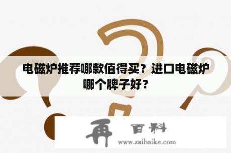 电磁炉推荐哪款值得买？进口电磁炉哪个牌子好？