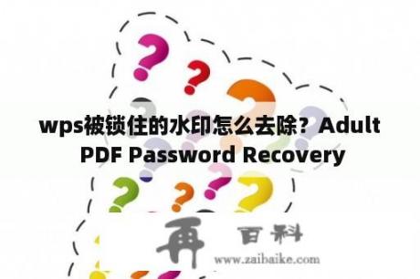 wps被锁住的水印怎么去除？Adult PDF Password Recovery