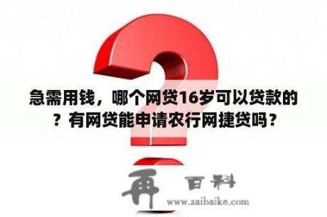 急需用钱，哪个网贷16岁可以贷款的？有网贷能申请农行网捷贷吗？