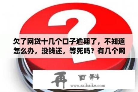 欠了网贷十几个口子逾期了，不知道怎么办，没钱还，等死吗？有几个网贷逾期还能借到钱吗