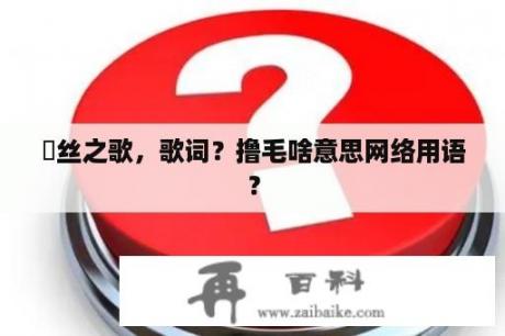 屌丝之歌，歌词？撸毛啥意思网络用语？