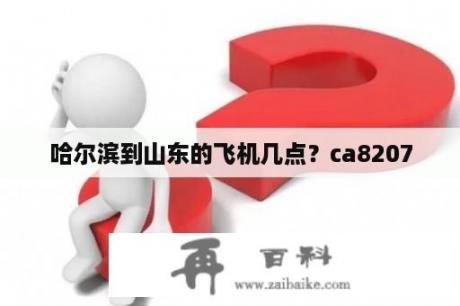 哈尔滨到山东的飞机几点？ca8207