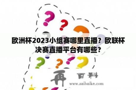 欧洲杯2023小组赛哪里直播？欧联杯决赛直播平台有哪些？